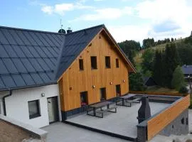 Villa in Bed ichov near Giant Mountains