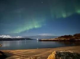 Seahouse Bodø