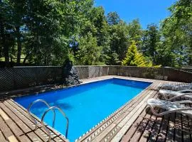 CASA ARBOL PUCÓN - Piscina y tinaja