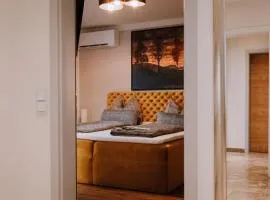 Hollands Ferienhaus - Designhaus mit Klimaanlage