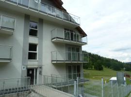 Apartament Czarna Góra，位于Biała Woda的酒店