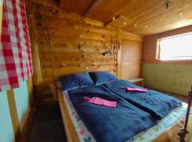 Hängebett im Stall，位于Fahrni的酒店