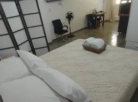 Departamento en Planta baja, centrico, cochera cubierta Sarmiento265apart D6