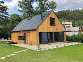 Villa in Bohemia with barbecue