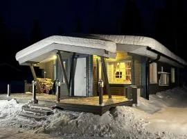 Chalet Pellonranta 1