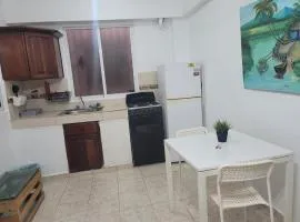 Fantastic apartment 1Rooms zona colonial