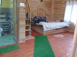 Pg Dream Cabin Jibhi