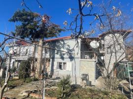 Vila Tradicionale Violeta Korce，位于戈里察的酒店