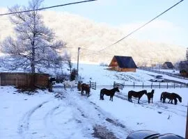 VIKENDICA NOLE Jahorina