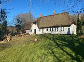 Cozy cottage getaway Holse，位于Brenderup的乡村别墅