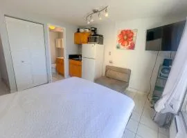 Kuhio Village Ocean View Studio
