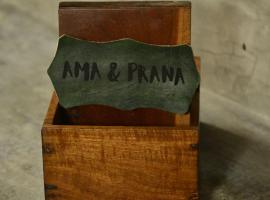 Ama & Prana，位于图卢姆的酒店