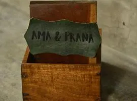 Ama & Prana