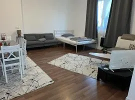 Lionceau appartement 2 pièces une chambre et un grand séjour accueille 5 personnes