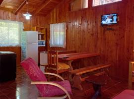 Lican Ray Cabañas Los Primos，位于里坎雷的酒店