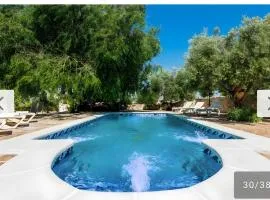 Cortijo Rica