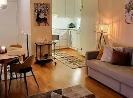 Great apartment in Vantaa close to the airport, with Sauna!