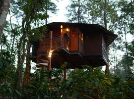 Pugmarks Jungle Lodge，位于Chekadi的酒店