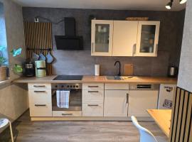 Tenneberger Wohnung1，位于伊尔森堡的酒店