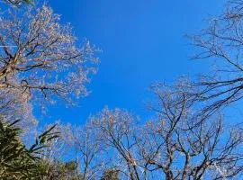 Yangyang Little Forest Pension