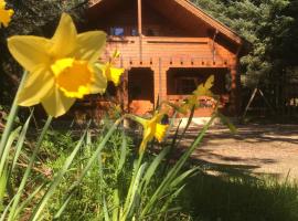 Bernard&rsquo;s Logcabins，位于百利科内尔的宠物友好酒店