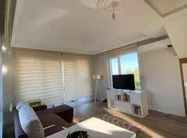 Detached villa in antkoop