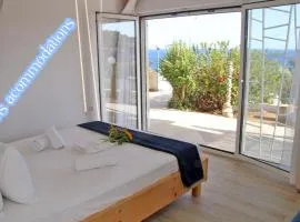 MNS Marvelous Nirvana Seascape, Art