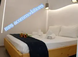 MNS Marvelous Nirvana Seascape, Creativity