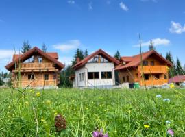 Casutele dintre brazi，位于Coverca的酒店