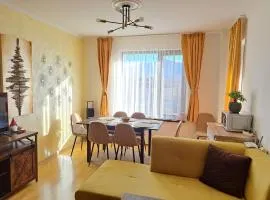 Sunny Mountain View apartment