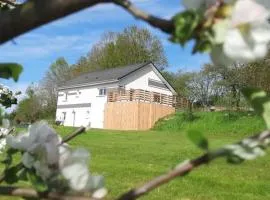 Grande maison 10 pers. avec bain nordique et jeux près des Vosges - FR-1-589-773