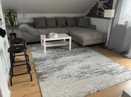 House in Village apartman Jelić