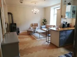 Beautiful and central apartment for rent during Ski WC 2025