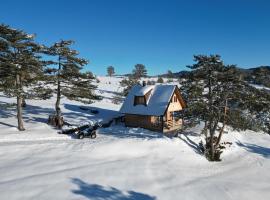 Cottage Vodice 2, Zlatibor，位于Dobroselica的酒店