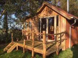 Retreat in Nature