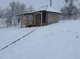 Seoski turizam Domaćinstvo Tošanić，位于Žigale的酒店