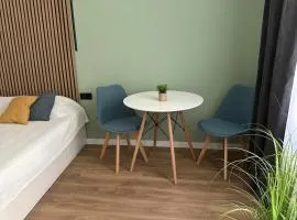 Piata Unirii Apartment 1