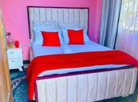 Central Beautiful & peaceful Private bedroom AC, Very fast WiFi