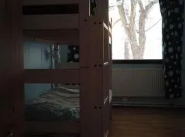 Backpackers hostel Ounasvaara private room 2