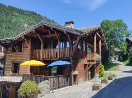 Chalet Robin - spa- multipass- terrain de pétanque