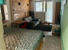 One bedroom condo in Skopje
