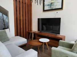 Casa Olivo, Sala a doble altura