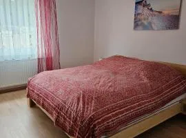 Eichhörnchen-Haus Körner im Schwarzwald