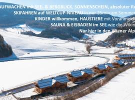 CHALET am Schneeberg See，位于施内贝格山麓普赫贝格的酒店