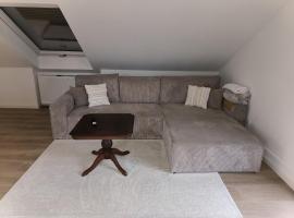 Ferienwohnung für 2-3 Personen，位于辛茨海姆的酒店