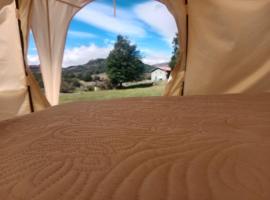 Glamping Ruta Lapparent，位于Puerto Ingeniero Ibáñez的豪华帐篷