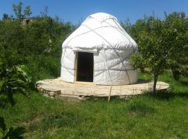 Bel-Zhan Yurt Lodge，位于Grigor'yevka的豪华帐篷营地