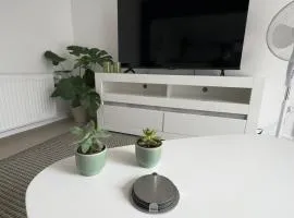 SAS Apartments