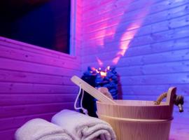 Old Town Zagreb Airport，位于大戈里察的带泳池的酒店