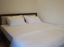 Hotel VVSRINI，位于Bāgepalli的酒店